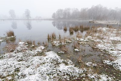 BUITEN BEELD Foto: 178321