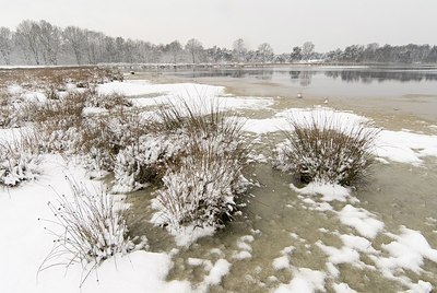 BUITEN BEELD Foto: 178323