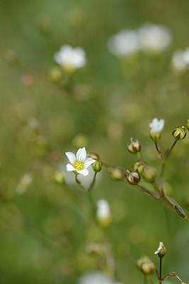 BUITEN BEELD Foto: 178344