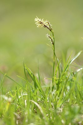 BUITEN BEELD Foto: 178359