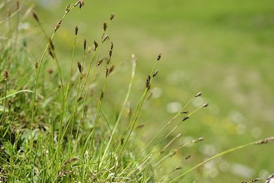 BUITEN BEELD Foto: 178362