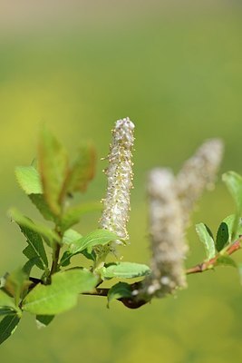 BUITEN BEELD Foto: 178365