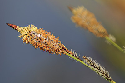 BUITEN BEELD Foto: 178366
