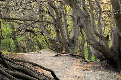 BUITEN BEELD Foto: 178369