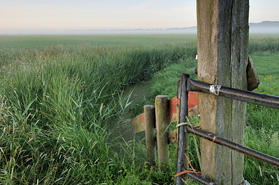 BUITEN BEELD Foto: 178370