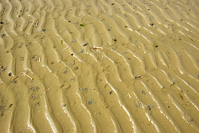 BUITEN BEELD Foto: 178403