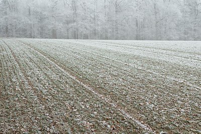 BUITEN BEELD Foto: 178411