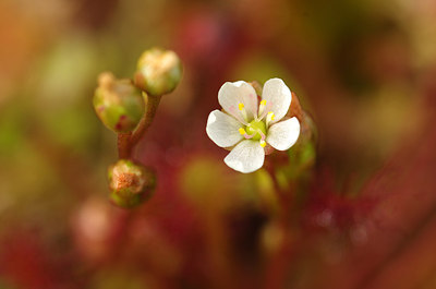 BUITEN BEELD Foto: 178426