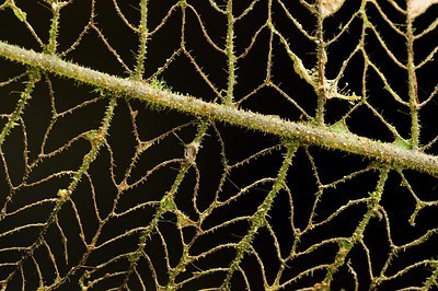 BUITEN BEELD Foto: 178440