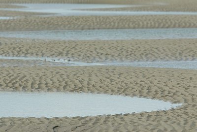 BUITEN BEELD Foto: 178455