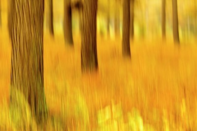 BUITEN BEELD Foto: 178483