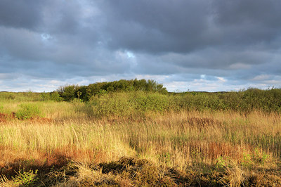 BUITEN BEELD Foto: 178507