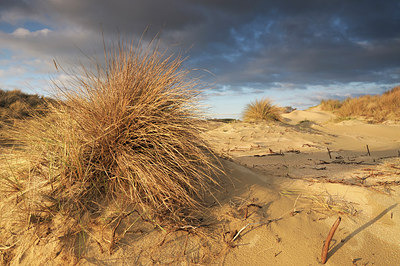 BUITEN BEELD Foto: 178508