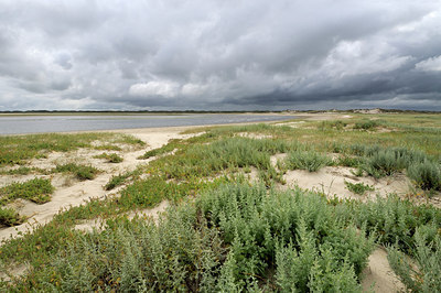 BUITEN BEELD Foto: 178509