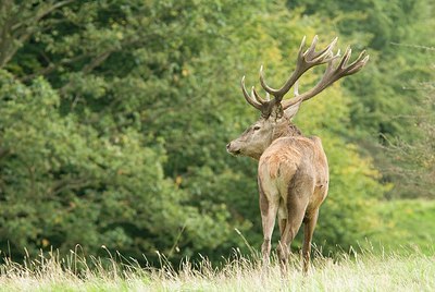 BUITEN BEELD Foto: 178532