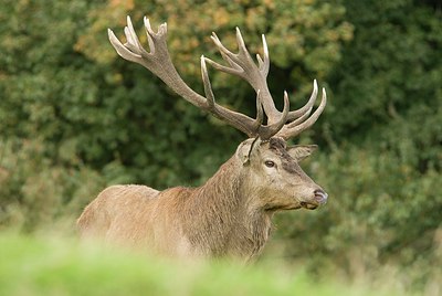 BUITEN BEELD Foto: 178534