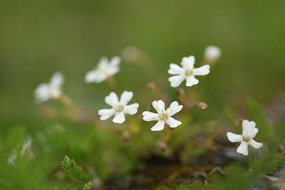 BUITEN BEELD Foto: 178556