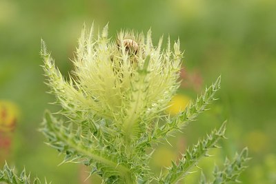 BUITEN BEELD Foto: 178590