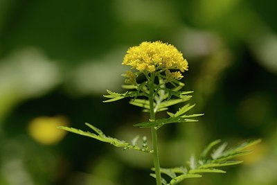 BUITEN BEELD Foto: 178593
