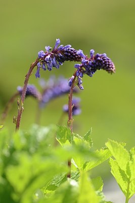 BUITEN BEELD Foto: 178595