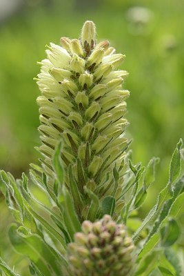 BUITEN BEELD Foto: 178599