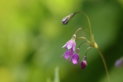 BUITEN BEELD Foto: 178611