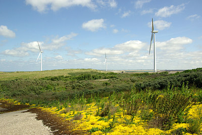 BUITEN BEELD Foto: 178626