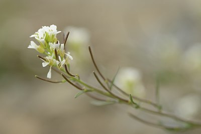 BUITEN BEELD Foto: 178654