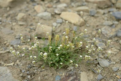 BUITEN BEELD Foto: 178655