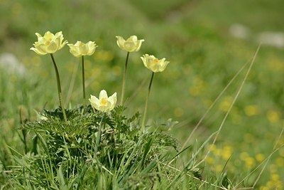 BUITEN BEELD Foto: 178665