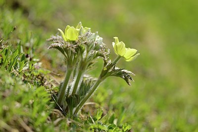 BUITEN BEELD Foto: 178682