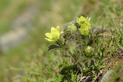 BUITEN BEELD Foto: 178683