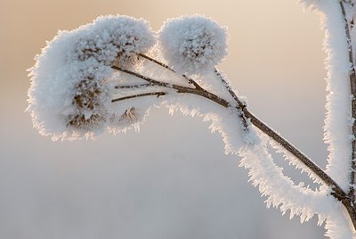 BUITEN BEELD Foto: 178692