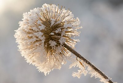 BUITEN BEELD Foto: 178693