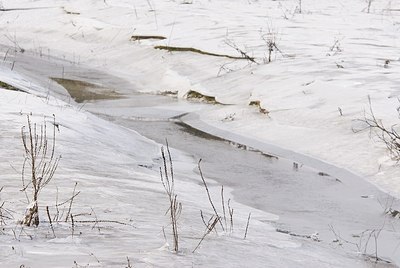 BUITEN BEELD Foto: 178696
