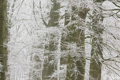 BUITEN BEELD Foto: 178700