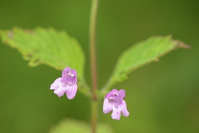 BUITEN BEELD Foto: 178702
