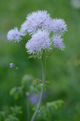 BUITEN BEELD Foto: 178711