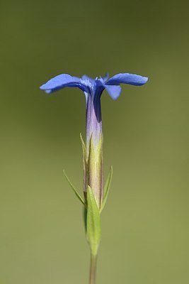 BUITEN BEELD Foto: 178715