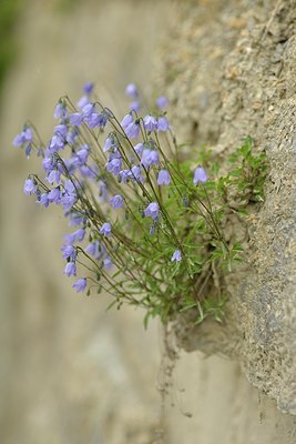 BUITEN BEELD Foto: 178727
