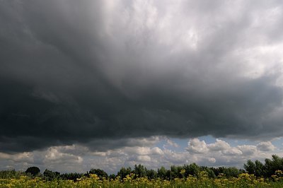 BUITEN BEELD Foto: 178761