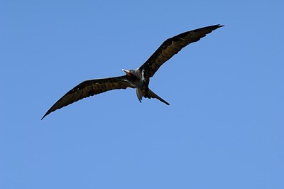 BUITEN BEELD Foto: 178766