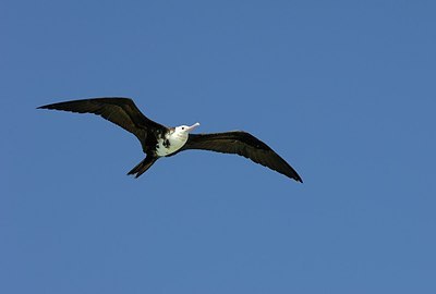 BUITEN BEELD Foto: 178767