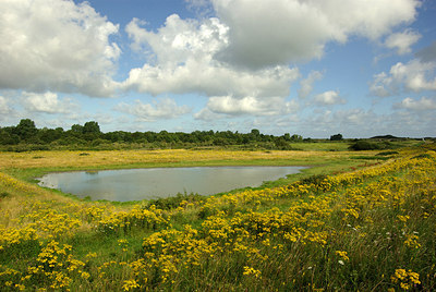 BUITEN BEELD Foto: 178772