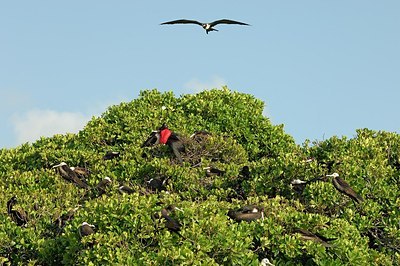 BUITEN BEELD Foto: 178773