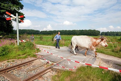 BUITEN BEELD Foto: 178780