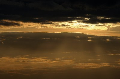 BUITEN BEELD Foto: 178789