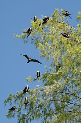 BUITEN BEELD Foto: 178791