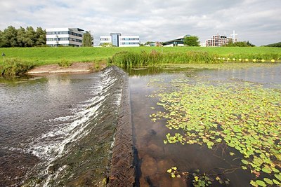 BUITEN BEELD Foto: 178796