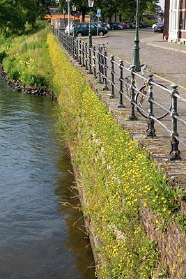 BUITEN BEELD Foto: 178919